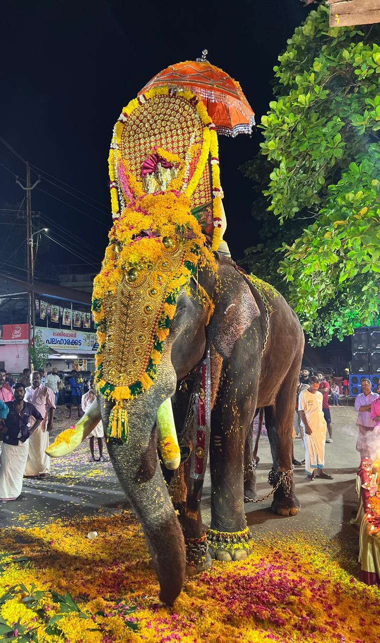 ദേവിയുടെ പുറത്തെഴുന്നള്ളത്ത്